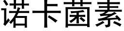 诺卡菌素 (黑体矢量字库)