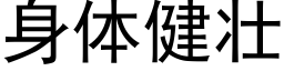 身体健壮 (黑体矢量字库)