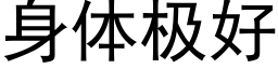 身體極好 (黑體矢量字庫)