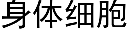 身體細胞 (黑體矢量字庫)