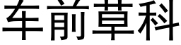 车前草科 (黑体矢量字库)