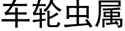 车轮虫属 (黑体矢量字库)