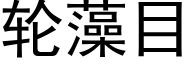 轮藻目 (黑体矢量字库)