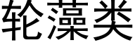 轮藻类 (黑体矢量字库)