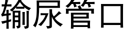 输尿管口 (黑体矢量字库)