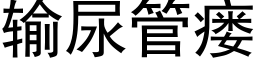 輸尿管瘘 (黑體矢量字庫)