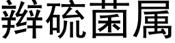 辫硫菌属 (黑体矢量字库)