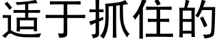 适于抓住的 (黑体矢量字库)