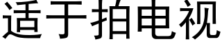 适于拍电视 (黑体矢量字库)