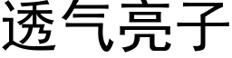 透气亮子 (黑体矢量字库)