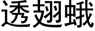 透翅蛾 (黑体矢量字库)