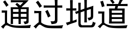 通過地道 (黑體矢量字庫)