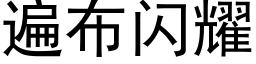 遍布闪耀 (黑体矢量字库)