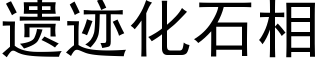 遺迹化石相 (黑體矢量字庫)