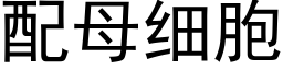 配母细胞 (黑体矢量字库)