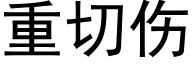 重切伤 (黑体矢量字库)