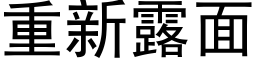 重新露面 (黑体矢量字库)