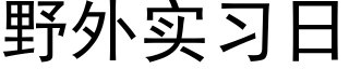 野外实习日 (黑体矢量字库)