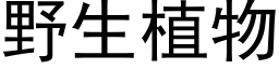 野生植物 (黑體矢量字庫)