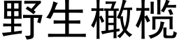 野生橄榄 (黑体矢量字库)