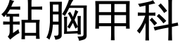 钻胸甲科 (黑体矢量字库)