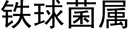 铁球菌属 (黑体矢量字库)