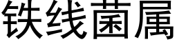 铁线菌属 (黑体矢量字库)