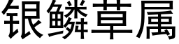 银鳞草属 (黑体矢量字库)