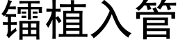 镭植入管 (黑体矢量字库)