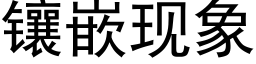 镶嵌现象 (黑体矢量字库)