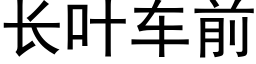 长叶车前 (黑体矢量字库)