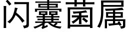 闪囊菌属 (黑体矢量字库)