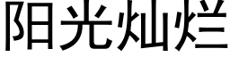 阳光灿烂 (黑体矢量字库)