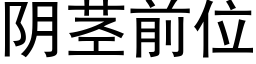 阴茎前位 (黑体矢量字库)