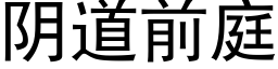 阴道前庭 (黑体矢量字库)