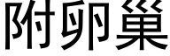 附卵巢 (黑体矢量字库)