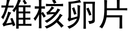 雄核卵片 (黑体矢量字库)