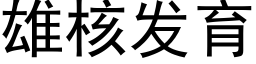 雄核发育 (黑体矢量字库)