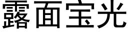 露面宝光 (黑体矢量字库)