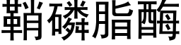 鞘磷脂酶 (黑體矢量字庫)