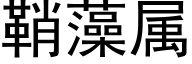 鞘藻屬 (黑體矢量字庫)