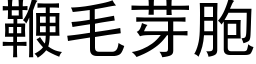 鞭毛芽胞 (黑体矢量字库)