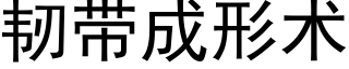 韧带成形术 (黑体矢量字库)