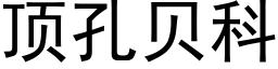 顶孔贝科 (黑体矢量字库)