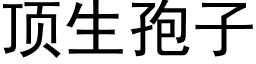 顶生孢子 (黑体矢量字库)