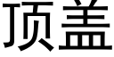 顶盖 (黑体矢量字库)