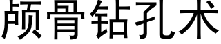 颅骨钻孔术 (黑体矢量字库)