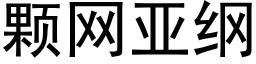 顆網亞綱 (黑體矢量字庫)