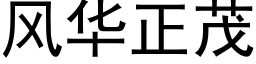 风华正茂 (黑体矢量字库)