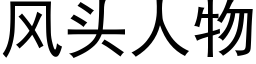 風頭人物 (黑體矢量字庫)